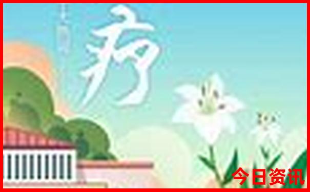 80岁老人可以在迪士尼玩什么